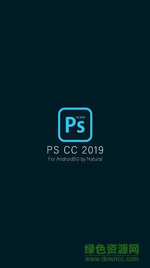 pscc2019截图