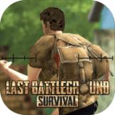 LastBattleGround:Survival(终极战场生存)