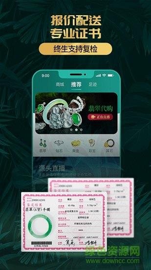 淘翠珠宝截图