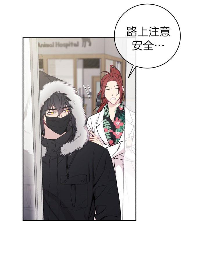 非麻瓜漫画反对pt