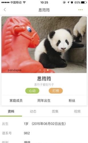 pandapia直播截图