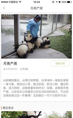 pandapia直播截图