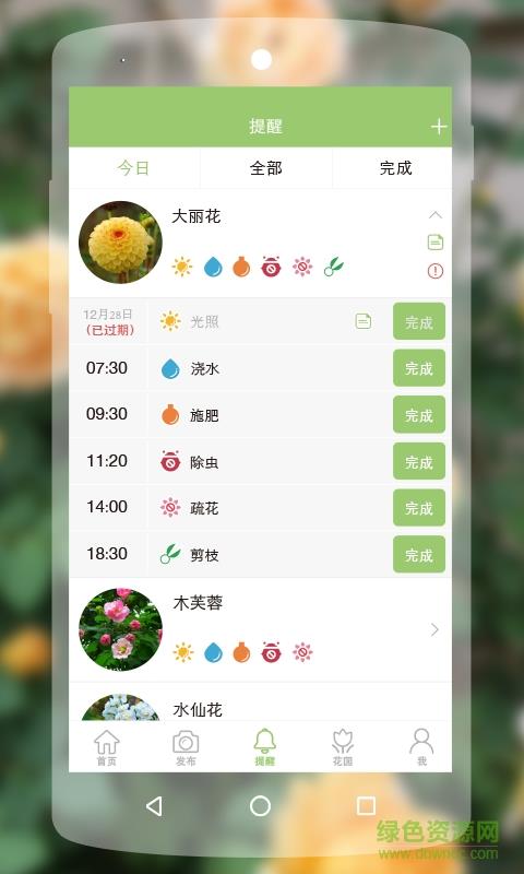 绿手指手机版