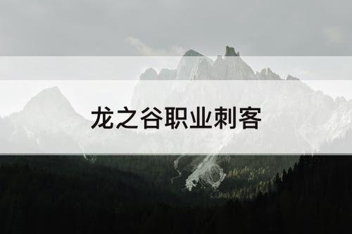 龙之谷职业刺客