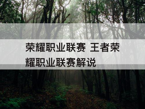 荣耀职业联赛 王者荣耀职业联赛解说