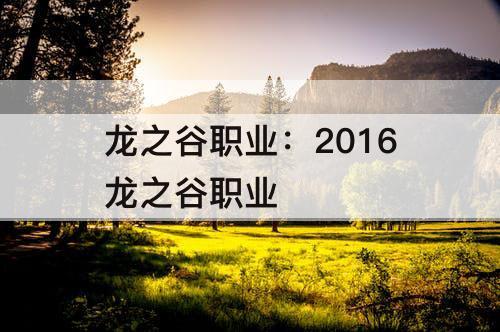 龙之谷职业：2016龙之谷职业