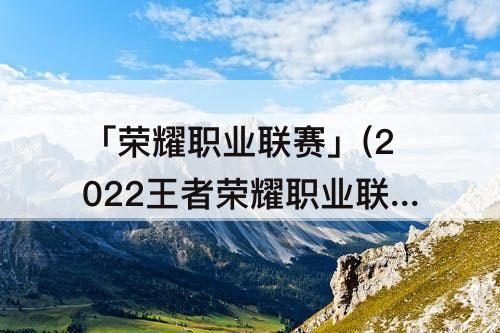 「荣耀职业联赛」(2022王者荣耀职业联赛)