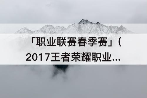 「职业联赛春季赛」(2017王者荣耀职业联赛春季赛总决赛)