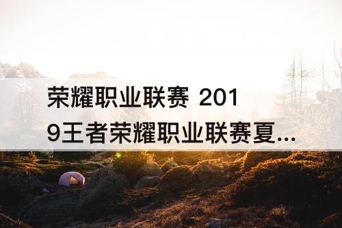 荣耀职业联赛 2019王者荣耀职业联赛夏季预选赛副舞台