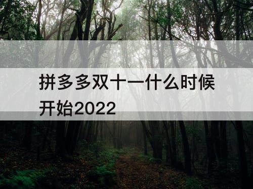 拼多多双十一什么时候开始2022