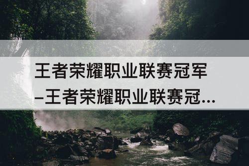 王者荣耀职业联赛冠军-王者荣耀职业联赛冠军奖金是多少