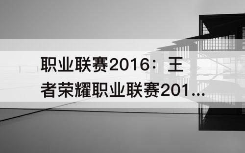 职业联赛2016：王者荣耀职业联赛2016