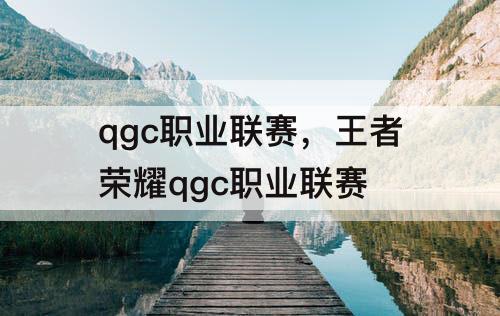 qgc职业联赛，王者荣耀qgc职业联赛