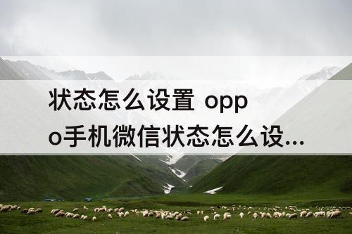 状态怎么设置 oppo手机微信状态怎么设置永久