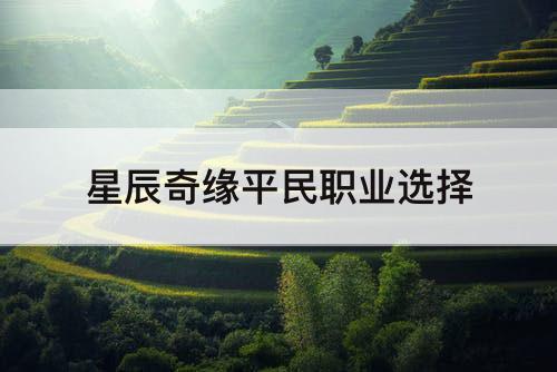 星辰奇缘平民职业选择