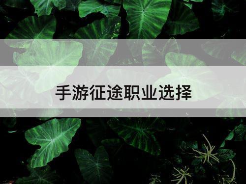 手游征途职业选择