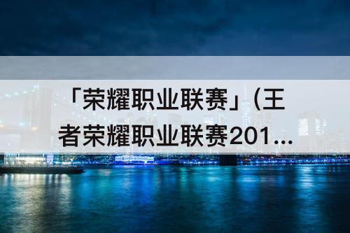 「荣耀职业联赛」(王者荣耀职业联赛2017视频回放)