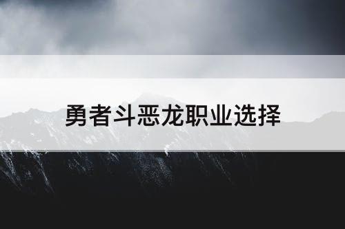 勇者斗恶龙职业选择