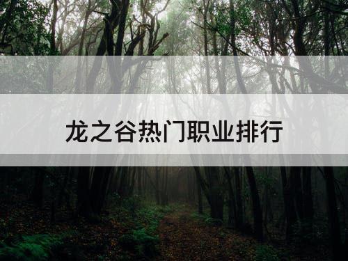 龙之谷热门职业排行