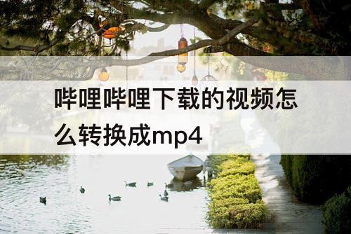 哔哩哔哩下载的视频怎么转换成mp4