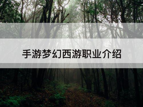 手游梦幻西游职业介绍