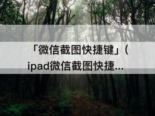 「微信截图快捷键」(ipad微信截图快捷键)