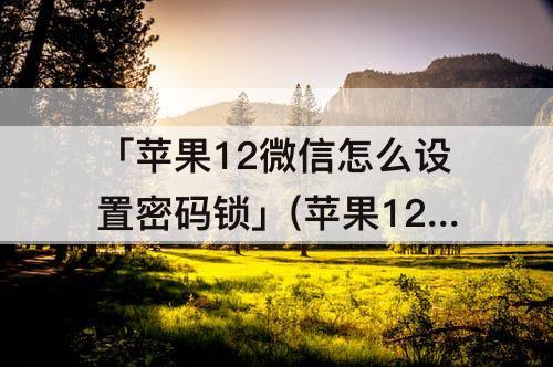 「苹果12微信怎么设置密码锁」(苹果12微信怎么设置密码锁不让别人看)