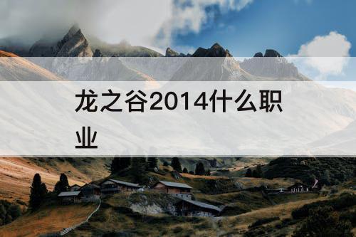 龙之谷2014什么职业