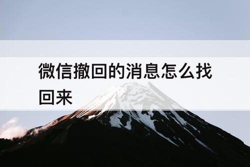 微信撤回的消息怎么找回来