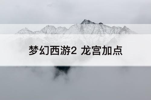 梦幻西游2 龙宫加点