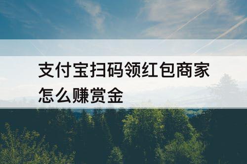 支付宝扫码领红包商家怎么赚赏金