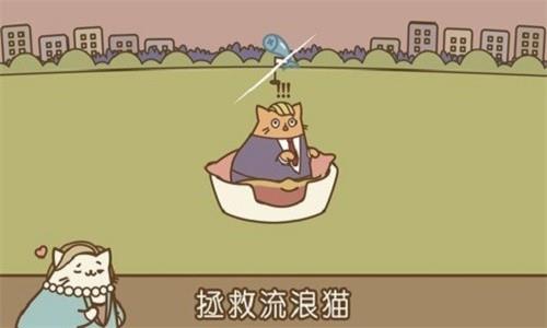 音乐猫咪截图