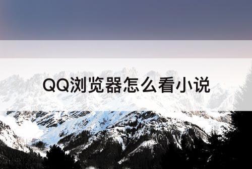 QQ浏览器怎么看小说