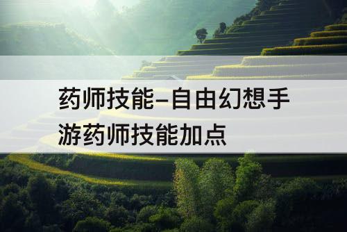 药师技能-自由幻想手游药师技能加点