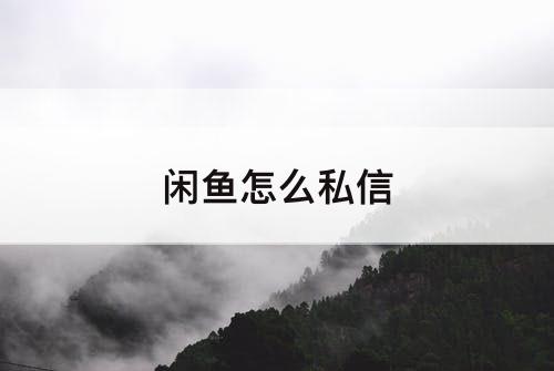 闲鱼怎么私信