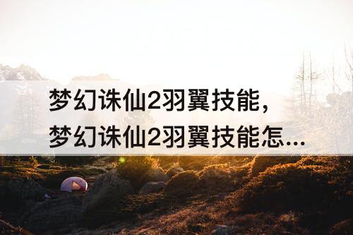 梦幻诛仙2羽翼技能，梦幻诛仙2羽翼技能怎么洗