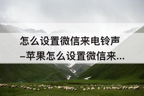 怎么设置微信来电铃声-苹果怎么设置微信来电铃声大小