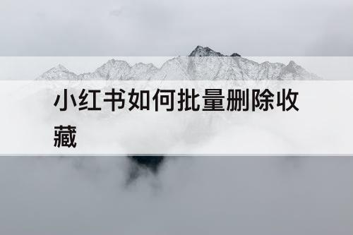 小红书如何批量删除收藏