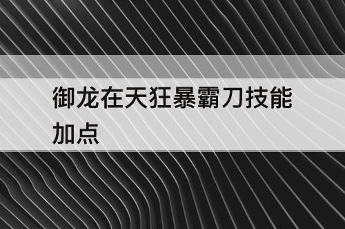 御龙在天狂暴霸刀技能加点