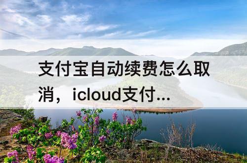 支付宝自动续费怎么取消，icloud支付宝自动续费怎么取消