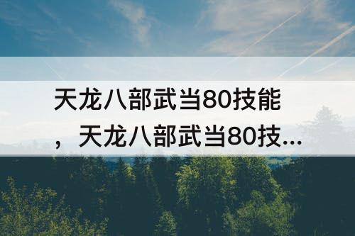 天龙八部武当80技能，天龙八部武当80技能效果