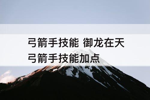 弓箭手技能 御龙在天弓箭手技能加点