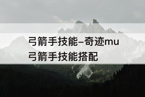 弓箭手技能-奇迹mu弓箭手技能搭配