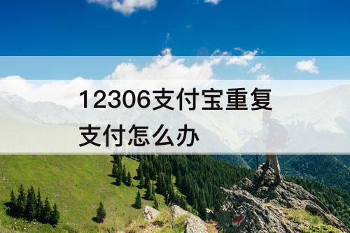 12306支付宝重复支付怎么办