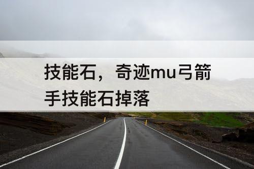 技能石，奇迹mu弓箭手技能石掉落