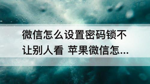 微信怎么设置密码锁不让别人看 苹果微信怎么设置密码锁不让别人看13pormax