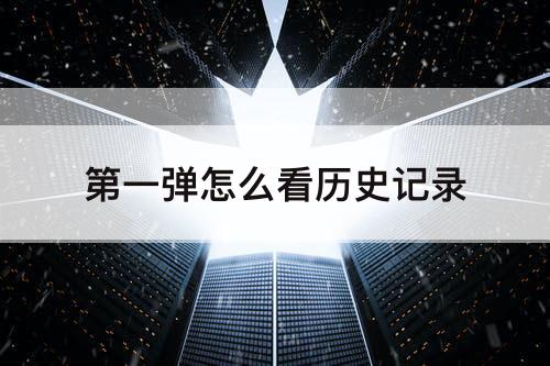第一弹怎么看历史记录