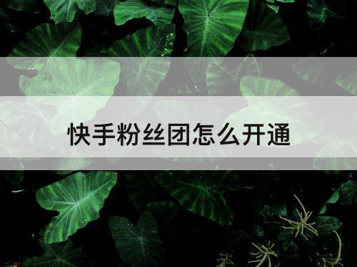 快手粉丝团怎么开通