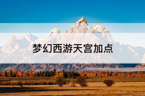 梦幻西游天宫加点