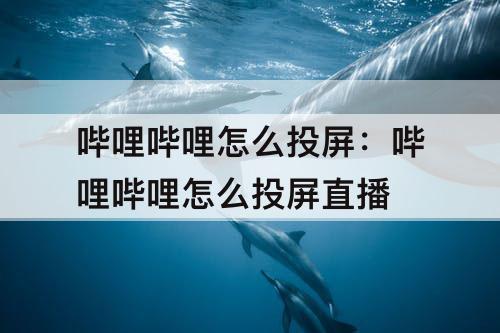 哔哩哔哩怎么投屏：哔哩哔哩怎么投屏直播